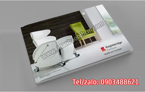 in catalogue giá rẻ tphcma