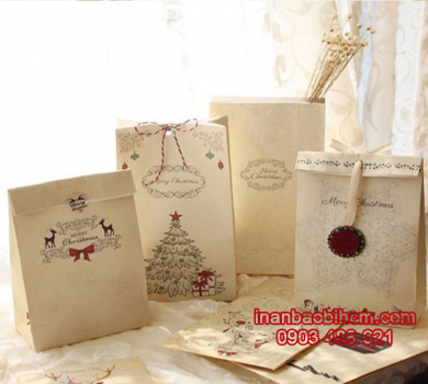túi giấy shop thời trang